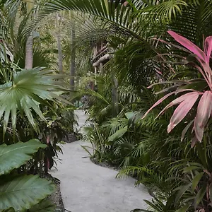 https://hotel-boutique-terranova.tulum-hotels.net