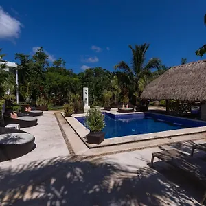 Tsaakik Jungle & Cancún